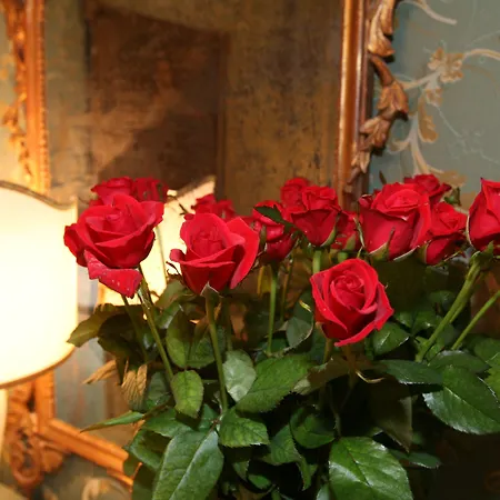 洛坎达卡德布罗基酒店 3* 威尼斯